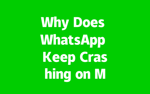 Why Does WhatsApp Keep Crashing on My Phone in 2025? 1 d892b7c5ab494c54d91996615a0a0631